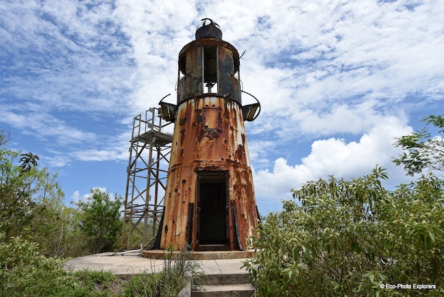 Eco-Photo Explorers - Lighthouse Image Collection